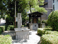 越中井